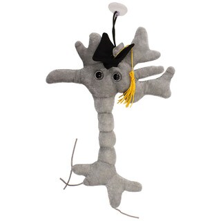 Graduation Brain Cell Plush